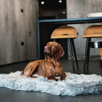 Faux Fur Orthopedic Dog Bed, Memory Foam, Grey 50"x30" | Plush Washable Dog Rug with Waterproof Machine Washable Cover, Calming for Anxious Senior Dogs, Relieves Joints