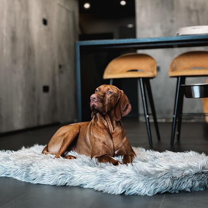 Faux Fur Orthopedic Dog Bed, Memory Foam, Grey 40"x25" | Plush Washable Dog Rug with Waterproof Machine Washable Cover, Calming for Anxious Senior Dogs, Relieves Joints