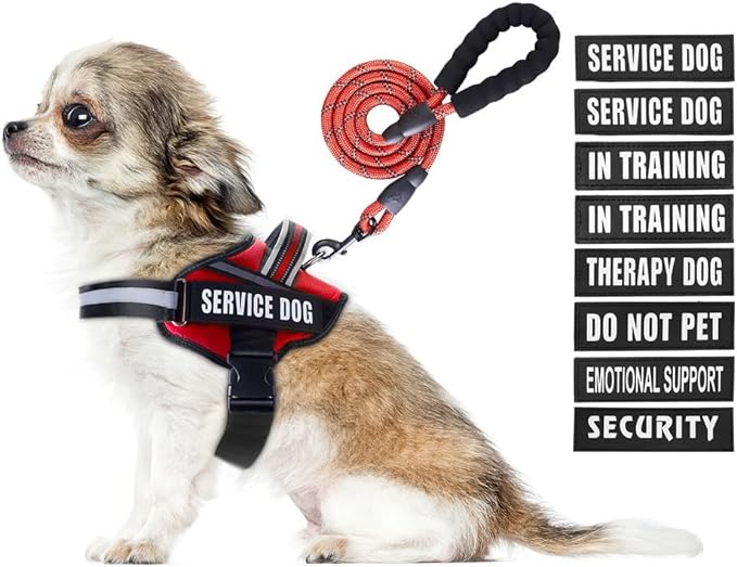 Service Dog Vest Harness and Leash Set, Animire in Training Dog Harness with 10 Dog Patches, Reflective Dog Leash with Soft Padded Handle for Small, Medium, Large, and Extra-Large Dogs (RED,XS)