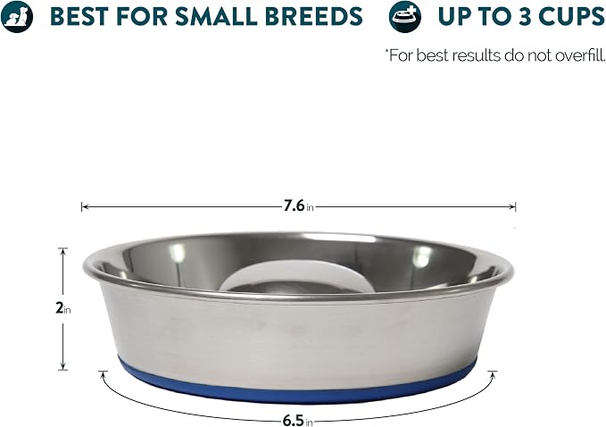 OurPets DuraPet Slow Feed Premium Stainless Steel Dog Bowl, Silver, Small (2040010300) | Helps pace rapid eaters at mealtime, durable and easy to clean, raised center dome design, a reliable everyday dish for pups