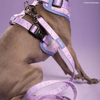 Lucy & Co. Magnificent Mermaid Pearl Dog Leash, Durable Matching Dog Lead with Heavy Duty Hardware, Small