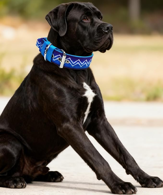 Dog Collar for Large Dogs,2 in Wide Heavy Duty,Pressure-Relief Padded, D-L | Professional Protection for Large and Giant Breeds,Handle for Control,Stainless Steel Buckle Ultra Safety,23-26 in