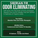 Siberian Fir Odor Eliminating Highly Fragranced Candle - Eliminates 95% of Pet, Smoke, Food, and Other Smells Quickly - Up to 80 Hour Burn time - 12 Ounce Premium Soy Blend
