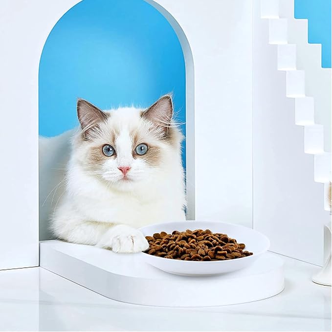 2 Ceramic Cat Bowls, 5.9 Inch Wide Shallow Feeding Dishes for Dry/Wet Food | Reduces whisker contact; lead-free; holds water too; dishwasher safe; stable heavy design; fits cats and small dogs