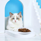 2 Ceramic Cat Bowls, 5.9 Inch Wide Shallow Feeding Dishes for Dry/Wet Food | Reduces whisker contact; lead-free; holds water too; dishwasher safe; stable heavy design; fits cats and small dogs