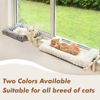 Cloud-Soft Cat Window Sill Perch with Zipper Designed Cushioned Bed, Supportive Cat Window Seat with Premium Solid Wood & Sturdy Metal Frame, Pet Hammock Bed for Large Cats (Medium, Gray)