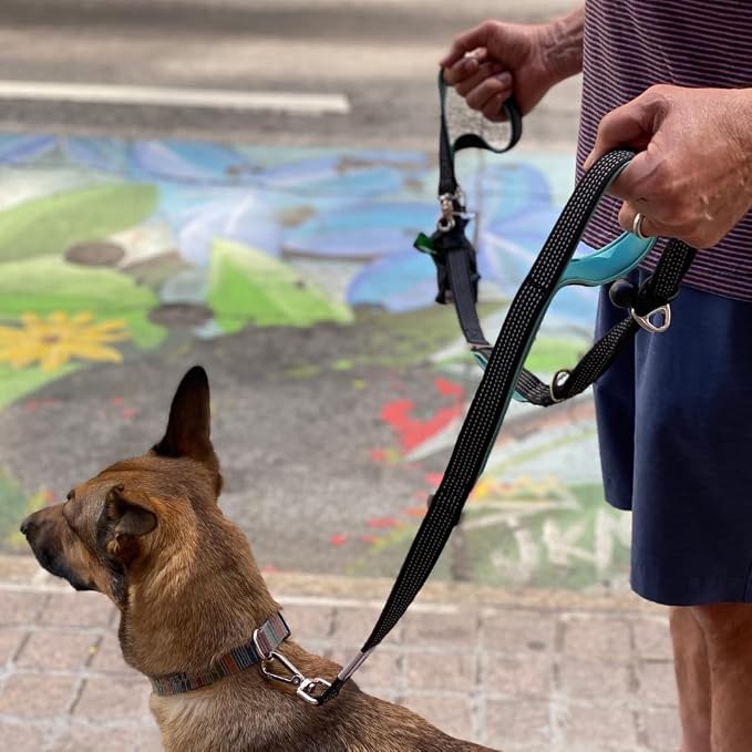Heavy Duty Dog Leash for Large Dogs – 6FT Reflective Bungee with Padded Handles, Strong Carabiner Clip, No Pull Control for Medium & Large Breeds, Includes Poop Bag Holder & Treat Pouch (Royal Blue)