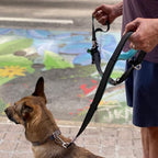 Heavy Duty Dog Leash for Large Dogs – 6FT Reflective Bungee with Padded Handles, Strong Carabiner Clip, No Pull Control for Medium & Large Breeds, Includes Poop Bag Holder & Treat Pouch (Purple-Blue)
