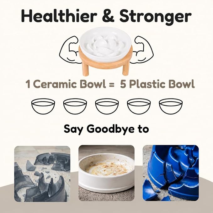 Slow Feeder Cat Bowls with Bamboo Stand, Ceramic Elevated Pet Food Plates for Cats and Small Dogs, Raised Non-Slip Feeder (White/6.3")