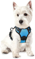 rabbitgoo Dog Harness, No Pull for Small Dogs with 2 Leash Clips, Pet Vest | No Choke with Handle, Adjustable Soft Padded, Reflective, Easy Control for Walking, Blue, X-Small