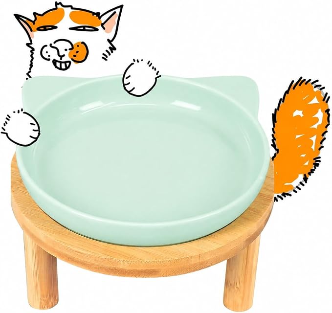 Elevated Ceramic Cat Bowls with Bamboo Stand for Cat Bowl, Whisker Friendly Shallow Cat Plate, Stable Raised Cat Food Riser for Indoor Cats (Green, Set of 1)