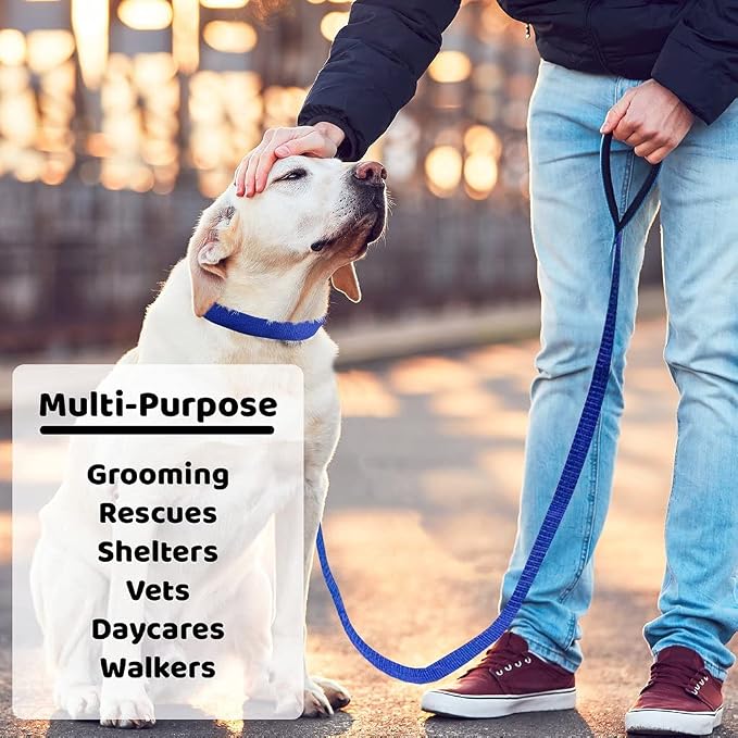 Downtown Pet Supply Slip Lead Dog Leash 120 Pack, 4' x 1/2" - Universal Dog Slip Leash with Metal O Ring - Machine Washable for Groomers, Shelters, Rescues, Vets, or Doggy Daycares