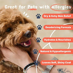 Pets are Kids Premium Oatmeal Shampoo for Itch Relief & Shiny Coat, 17 oz | Natural Itch Relief, Dry Skin Soother, Hydrated & Shiny Coat, with Aloe, Coconut & Baking Soda, Hypoallergenic, For Dogs