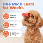 Best Pet Supplies Poop Bags for Dogs - Assorted Colors, 240 Count | Scented, Leak-proof, Easy-Tear perforations, 15 Thick Bags per roll, Outdoor Walking & Travel, Fits Standard Holders