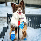 QUMY Dog Shoes for Hot Pavement, Dog Snow Boots & Paw Protectors for Winter | Dog Booties Medium Large Size Dogs, Water-resistant in the Rain, Outdoor Walking, Indoor Hardfloors Skid-resistant Sole Blue