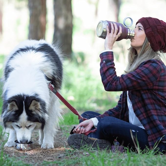Asobu Buddy Bottle a Stainless Steel Insulated Water Bottle for with Removable Dog Water Bowl and Dog Food and Treat Storage Bowl (Burgundy, 37 Oz Water Bottle with Bowl)