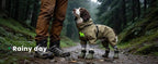 Dog Shoes for Hot Pavement - Comfortable Paw Protection for Medium & Large Dogs, Adjustable Strap & Non-Slip, Easy-Clean, Outdoor Sports Boots, Dog Booties for Summer Rain (Green, XL)