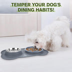 Pecute Slow Feeder Dog Bowls to Slow Down Eating, Dog Slow Feeder Bowl | No-Spill Non-Skid Silicone Mat, Food-Grade Safe Dog Food Bowls Slow Feeder, Stainless Steel Dog Water Bowl for Dogs Cats