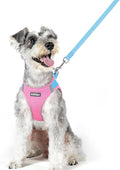 rabbitgoo Dog Harness Medium Sized and Leash Set, Step-in Puppy Pet Vest | Light, Soft, Breathable Air Mesh, Easy on and Remove with Hook & Loop, Secure Reflective for Walking, Blue & Light Pink XL