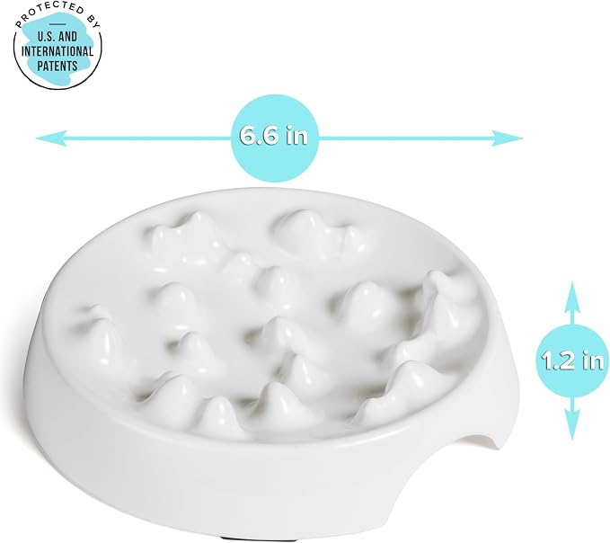 CatGuru Whisker-Friendly Slow Feeder Cat Bowl for Healthy Digestion | Perfect for kittens, adult, and senior cats. Encourages calm, healthy eating habits at every age.