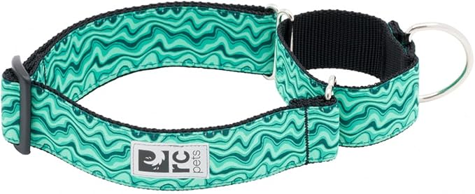 RC Pets All Webbing Training Collar L Gemstone