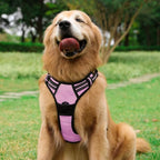rabbitgoo Dog Harness, No Pull for Large Dogs with 2 Leash Clips, Pet Vest | No Choke with Handle, Adjustable Soft Padded, Reflective, Easy Control for Walking, Pink, Large