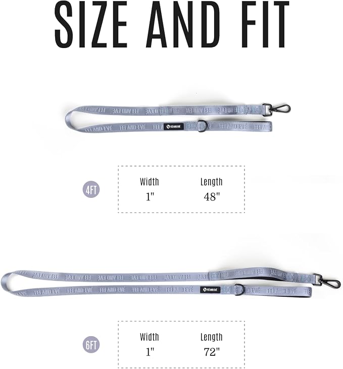 Fei & Eve Classic Dog Leash | Soft-Touch 210D Nylon, Dual Padded Handles, Traffic Handle, Tangle-Free, Heavy Duty, Twilight Gray, 4FT