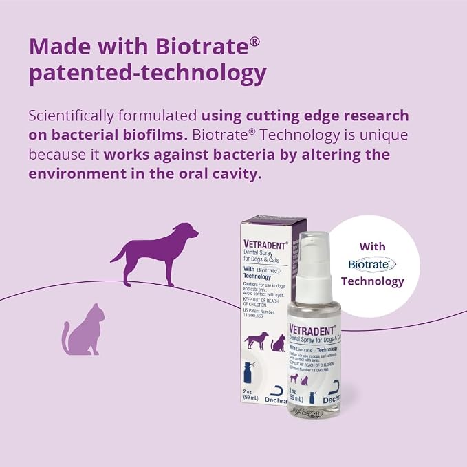 Dental Spray, 2 oz | Biotrate™ Technology; Xylitol-Free, Alcohol-Free; Packaging May Vary
