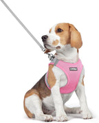 rabbitgoo Dog Harness Medium Sized and Leash Set, Step-in Puppy Pet Vest | Light, Soft, Breathable Air Mesh, Easy on and Remove with Hook & Loop, Secure Reflective for Walking, Light Pink & Gray L