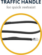 Ruffwear, Front Range Dog Leash, 5 ft Lead with Padded Handle for Everyday Walking, Basalt Gray