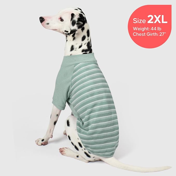 KYEESE 2Pack Waffle Dog Shirt with Sleeves Soft Striped Dog Sweater | Turtleneck, Cozy Warmth. Lightweight & Breathable, Gentle on Sensitive Skin, Free to Move, Comfortable Daily Wear