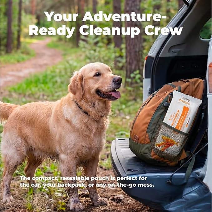 Best Pet Supplies Cleaning Dog Wipes - Soothing Oatmeal, 100 Count | Unscented, Large 8"x9", Vitamin E, Puppy & Cat Safe, Gentle Grooming, Resealable Pouch Prevents Drying