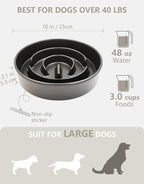 Ceramic Slow Feeder Bowls for Large Dogs, 3.0 Cups Slow Feeder for Fast Eaters, 48oz, 10in, Black