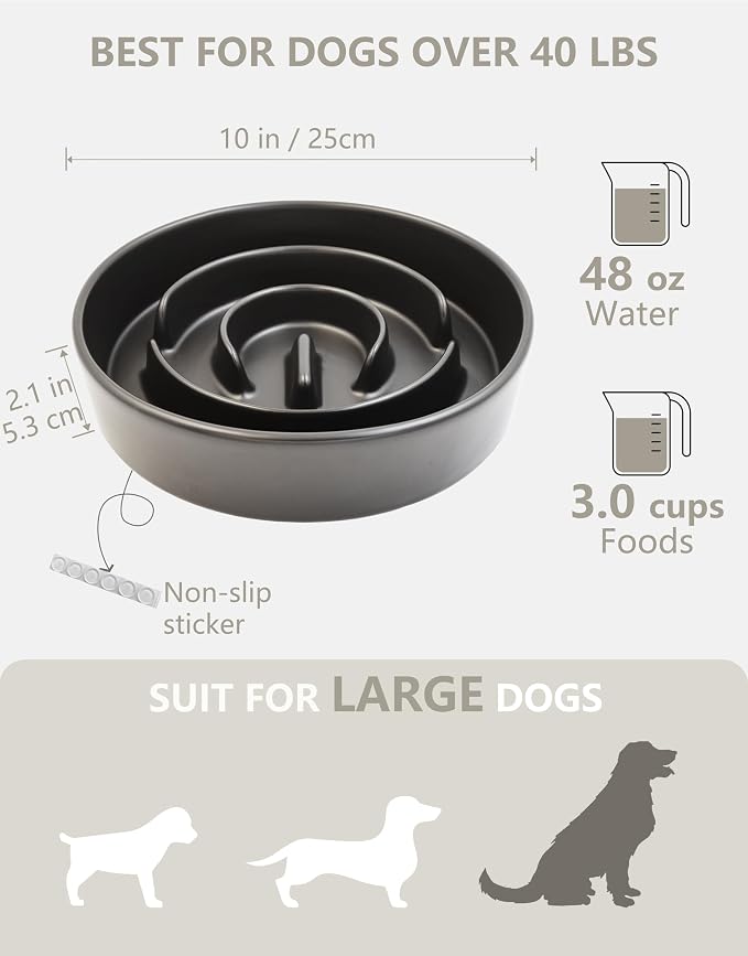 Ceramic Slow Feeder Bowls for Large Dogs, 3.0 Cups Slow Feeder for Fast Eaters, 48oz, 10in, Black
