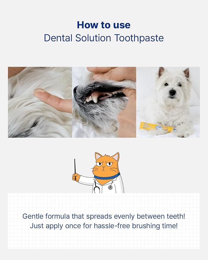 PETHROOM Pet Dental Solution Toothpaste for Dog & Cat, Sweet Potato Flavor | Enzymatic Toothpaste for Fresh Breath & Plaque Control, Gentle Daily Dental Care, Net Wt 2.1 oz