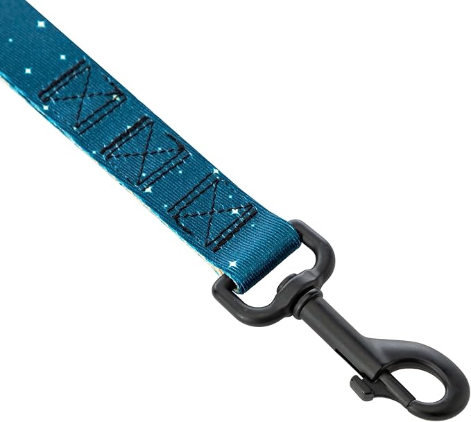 Wolfgang Heavy Duty Dog Leash, Pull-Tested for Walking & Training, Overland Print, Dual Handle Large