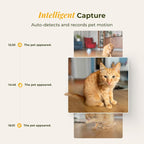 ARENTI Smart Automatic Cat Feeder and Water Fountain, 4L Pet Feeder Cat Food Dispenser with Camera, Dual Power, App Control, Live View & Night Vision, Meal Call, Hygienic Water Flow, Desiccant Bag