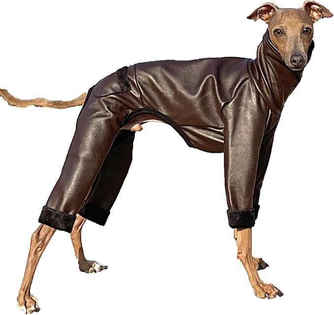 D Doggy Star Italian Greyhound Coat Stretchable Artificial Leather Fleece Lining Clothes Whippet for Dog (M,Leather Brown)