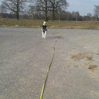 Waterproof Long Dog Leash Recall Training Lead 5 10 16 30 50 Foot for Large Medium Small Dogs Outdoor Training Walking Playing and Camping