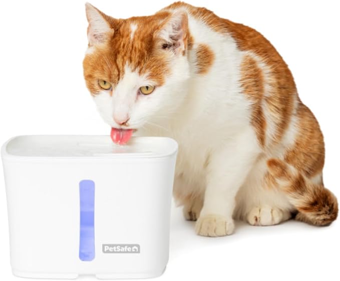 PetSafe Viva Pet Fountain - Encourages Healthy Hydration - Automatic Water Dispenser with Double Filtration - Ultra Quiet Water Fountain - Easy to Assemble & Clean - Stainless Steel - 64 oz | Whisper-Quiet Pump Encourages Hydration, BPA-Free, Dishwashe...