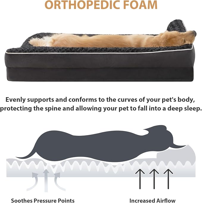BFPETHOME Orthopedic Washable Dog Bed, Sleeping Couch for Large Senior Dogs | 36x27 Inch Deluxe Plush Rose Velvet Washable Cover, Egg Crate Foam Support, Waterproof Lining, Non-Slip Bottom, Senior Dogs