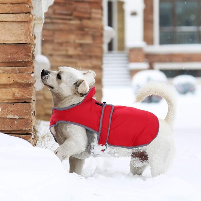 MIGOHI Reflective Waterproof Windproof Dog Coat - Warm Jacket Reversible Stormguard Winter Vest for Small to Large Dogs (Red, XXL)
