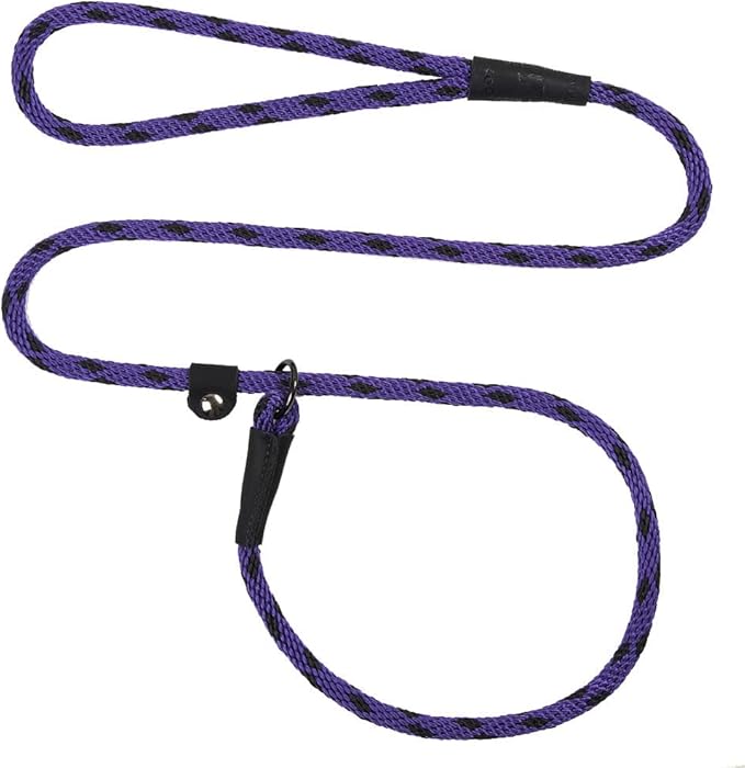 Mendota Pet Slip Leash - Dog Lead and Collar Combo - Made in The USA - Black Ice Purple, 3/8 in x 6 ft - for Small/Medium Breeds