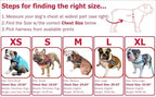 BULLHUG Adjustable Dog Harness– No Pull, No Choke – for English Bulldogs, French Bulldogs, Pugs & Broad-Chested Breeds – Easy, Safe Walks (Silver, Small)