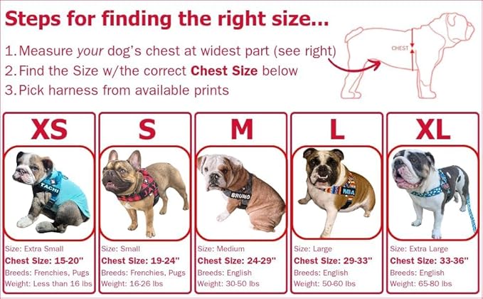 BULLHUG Adjustable Dog Harness– No Pull, No Choke – for English Bulldogs, French Bulldogs, Pugs & Broad-Chested Breeds – Easy, Safe Walks (Silver, Small)
