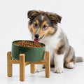 Petygooing Elevated/Raised 15°Slanted Ceramic Dog Bowl for Small and Medium Breeds, Tilted Anti Slip Pet Feeding Bowl,Food Water Dish with Stand for Cats and Dogs (28 OZ/3.6 Cups) Rust Green