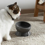 Y YHY Elevated Cat Food Bowl, Raised Pet Food and Water Bowl, Ceramic, 15oz