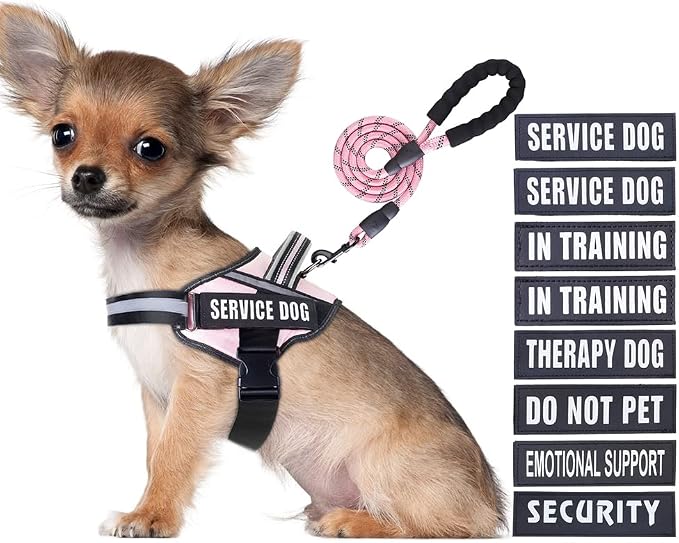 Service Dog Vest Harness and Leash Set, Animire in Training Dog Harness with 10 Dog Patches, Reflective Dog Leash with Soft Padded Handle for Small, Medium, Large, and Extra-Large Dogs(Pink,S)
