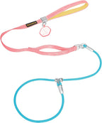 Dog Slip Leash with Double Padded Handles, Dog Training Lead to Stop Pulling,No-Pull Slip Leash and Collar Combo, Anti-Tangle,Traffic Control,Heavy Duty&Durable