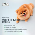 VERMONT SOAP Organic Pet Shampoo, Unscented Natural Dog Shampoo, 64 oz | Unscented organic olive oil, coconut & aloe vera, sensitive skin care, USDA Certified grooming, fragrance free, dog shampoo